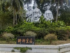 -东郊椰林
