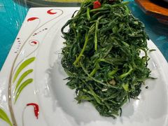 清香枸杞苗-国强手抓(西夏区店)