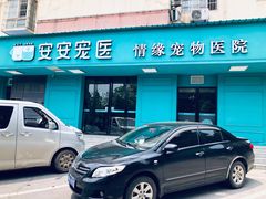 -安安宠物医院(情缘分院)