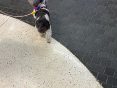 -瑞虹新天地月亮湾