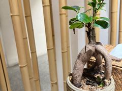 -竹里馆·淮扬菜·功夫茶(老门东店)