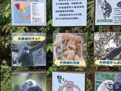 -福州动物园