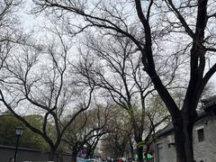 -北京国子监胡同