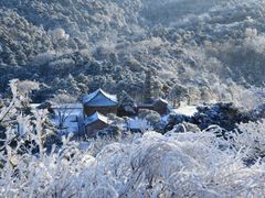 -鲁山国家森林公园