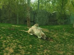 -北京野生动物园