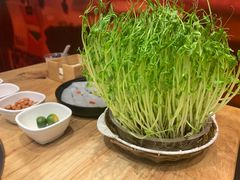 -好彩猪肚鸡(正弘城店)