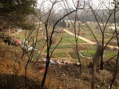 -蜀冈西峰生态公园