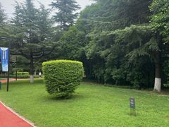 -城市运动公园(未央区)