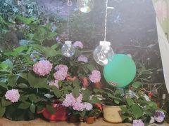 -鱼乐岛餐厅·户外花园主题餐厅