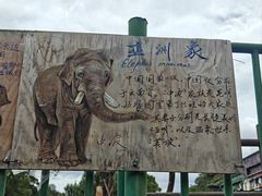-昆明动物园