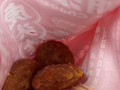 -虎头炸·潮汕南乳炸鸡(未来城店)
