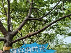 -凤凰沟景区