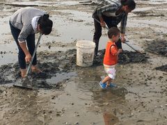 -北海金海湾红树林生态旅游区