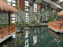 -南宫五洲植物乐园