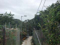 -南丫岛