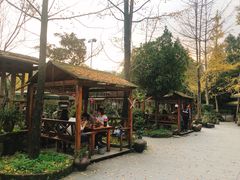 -青城甲(青城山店)