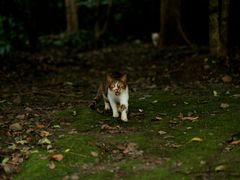 -苏州河梦清园环保主题公园