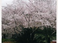 -上海体育场(地铁站)