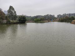 -南沙蒲洲花园