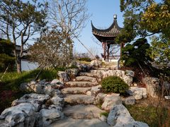 -上海滨江森林公园