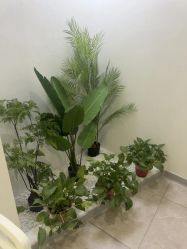 -VE专注问题肌·赛诺龙&科学美肤中心