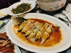 干烧大黄鱼-紫光园(劲松店)