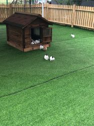 -萌宠亲子动物乐园(槐房万达店)