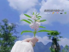 -崔解放·朝韩大排档(虹悦城店)