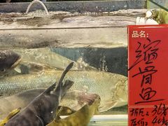 -大笑饭堂(甲子桥店)