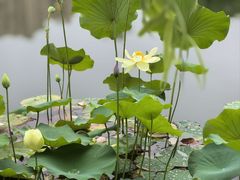 -木塔寺遗址生态公园
