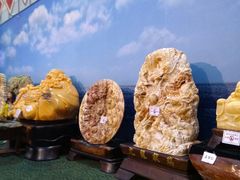 -绮丽珊瑚博物馆(台东店)