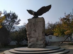 -北京鹫峰国家森林公园