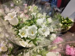 -循礼门鲜花花市(武汉循礼门店)