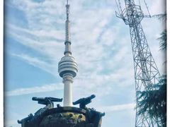 -龟山风景区-龟山电视塔