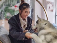 -Husky Go! 哈士奇体验馆·宠物咖啡厅狗咖