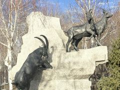 -伊犁河景区