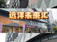 -远洋未来汇