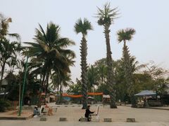 -西双版纳傣族园