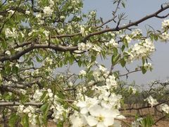 -白沙门生态公园