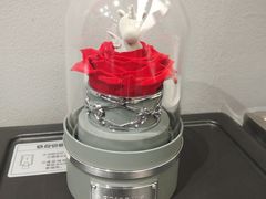 -ROSEONLY诺誓(沈阳万象城店)