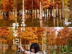 -白鹭湾湿地公园