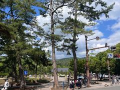 -奈良公园