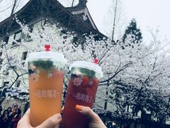 -鸡鸣赐茶(鸡鸣寺路店)