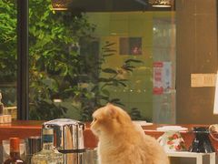 -咖法森林·咖啡  酒吧(天河店)