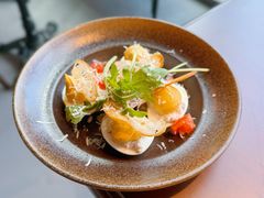 Mimosa吞拿鱼蛋-餮熹Tipsea法餐(吉大店)
