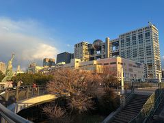 -台场海滨公园船码头