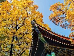 -香山公园