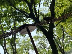 -上海野生动物园