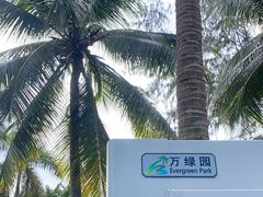 -万绿园