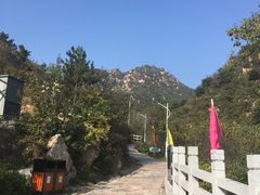 -大岭沟猕猴桃谷风景区